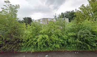 Picual Foodtruck, Restaurant à Saint-Martin-d'Hères