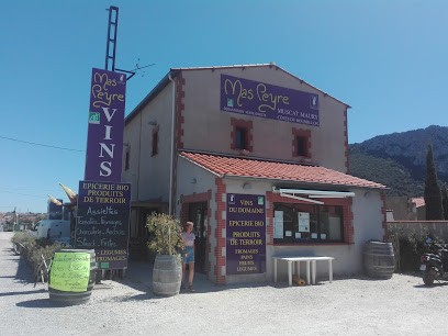 Mas Peyre Fils Et Fille, Restaurant à Saint-Paul-de-Fenouillet