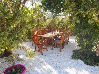 L'Ombrette, Restaurant à Baillargues