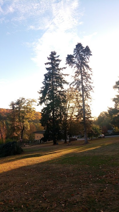 Le Palais, Restaurant au Palais-sur-Vienne