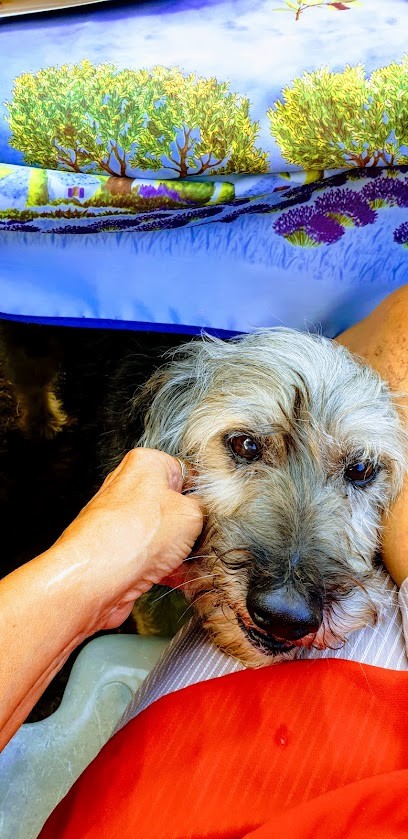 Bouvier Mireille, Restaurant à Saint-Bonnet-des-Bruyères