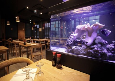 Yamato, Restaurant à Talence