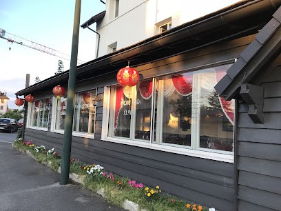 Asia Fusion Restaurant, Restaurant à Thonon-les-Bains
