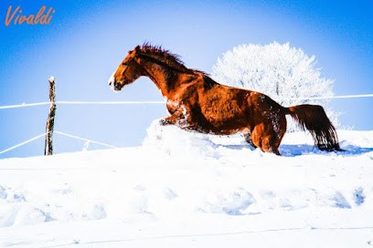 Char à Fondue, Restaurant aux Rousses