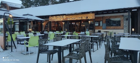 Restaurant Les Copains, Restaurant à Dévoluy