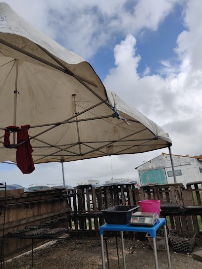 Chez Mamelou, Restaurant à Dolus-d'Oléron