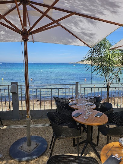 Le Bard'ô, Restaurant à Sanary-sur-Mer